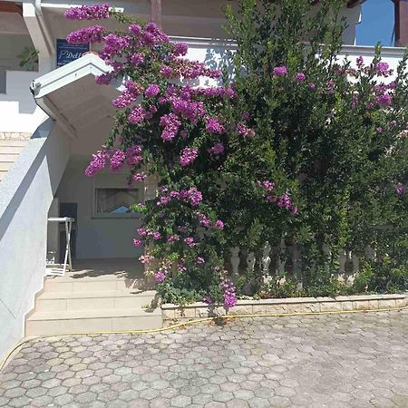 Apartments Vir Delfin 外观 照片