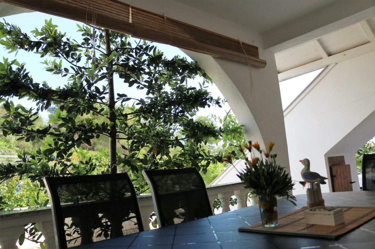 Apartments Vir Delfin 外观 照片